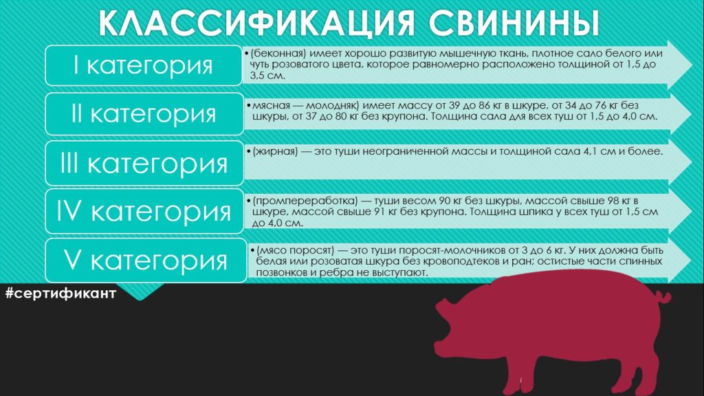 сертифікація м’ясної продукції