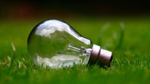 bulb_1