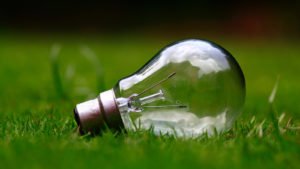 bulb